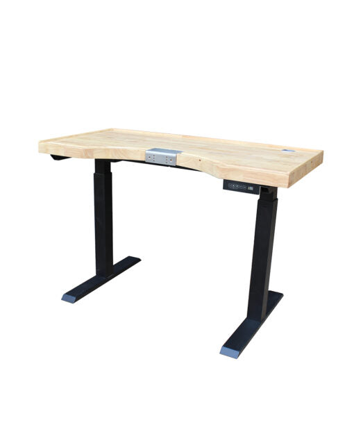 Adjustable Electric Bench