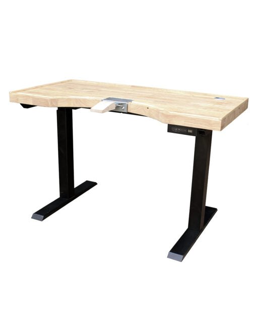 Adjustable Electric Bench